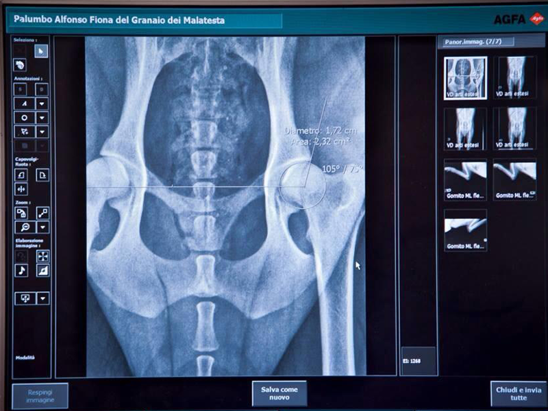 celemasche Radiologia