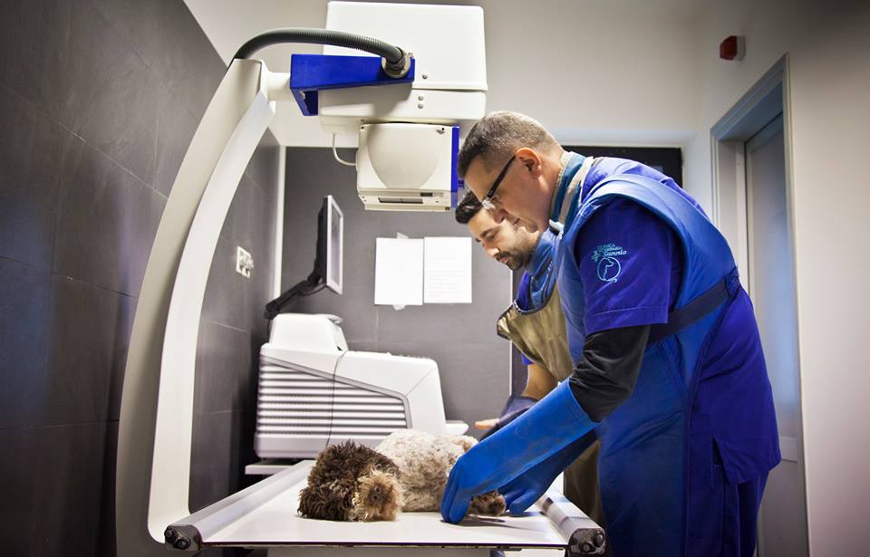 radiologia Radiologia