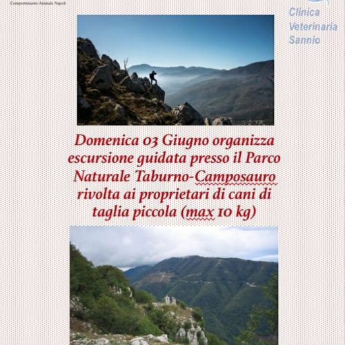 Escursione Parco Taburno-Camposauro | 3 Giugno 2018 Escursione Parco Taburno-Camposauro | 3 Giugno 2018