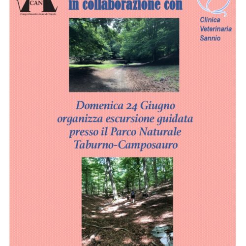 Escursione Parco Taburno-Camposauro | 24 Giugno 2018 Escursione Parco Taburno-Camposauro | 24 Giugno 2018