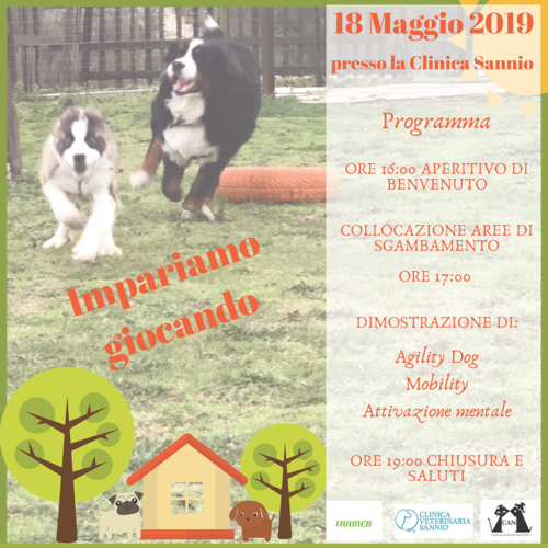 Impariamo Giocando | 18 Maggio 2019 Impariamo Giocando | 18 Maggio 2019